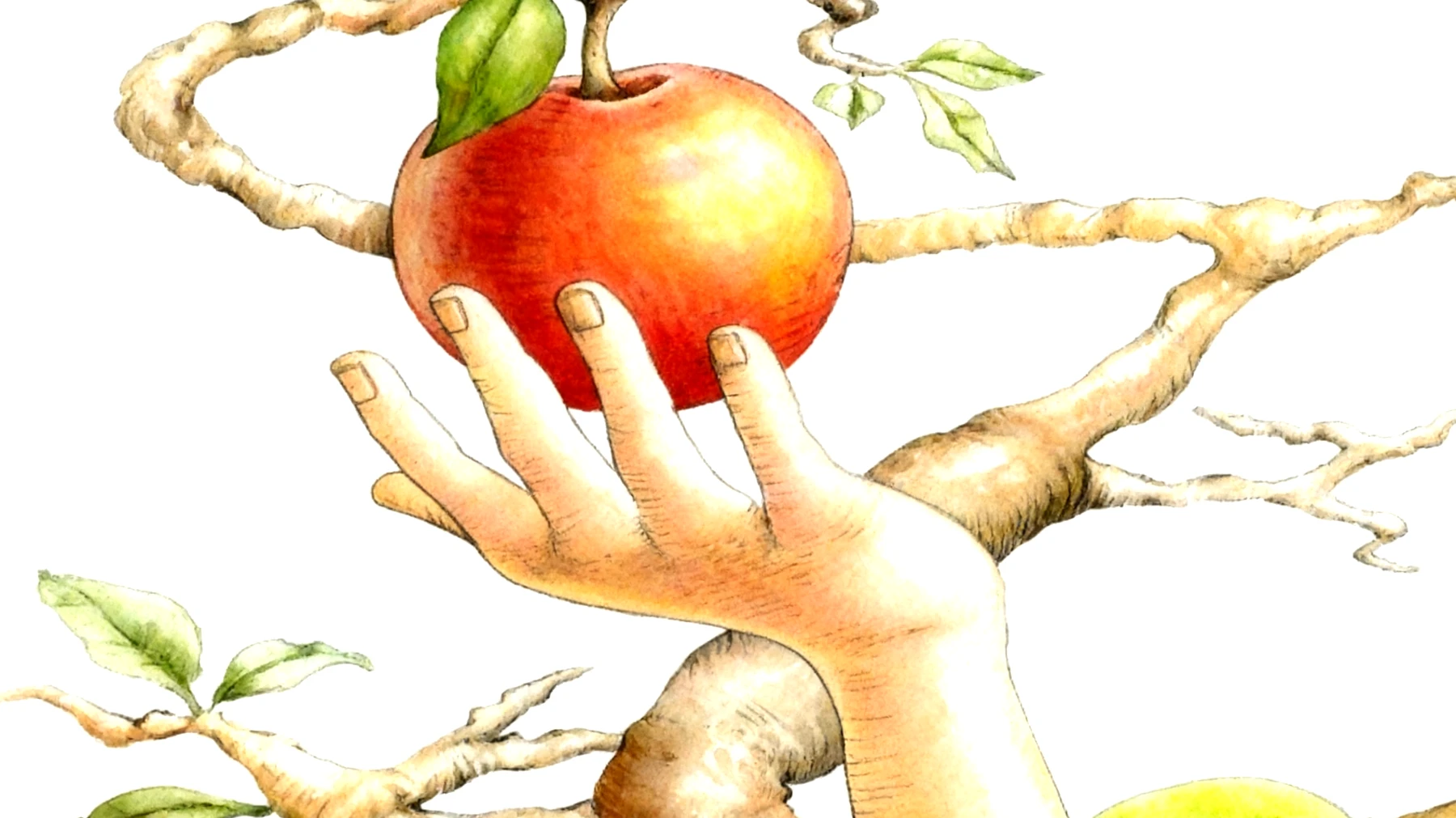 Forbidden Fruit2025-11-24T06:57:33.071Z"