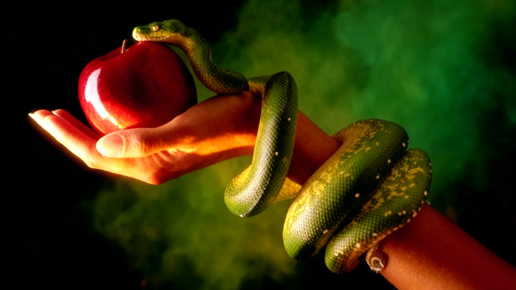 Forbidden Fruit2025-12-15T06:55:16.377Z"