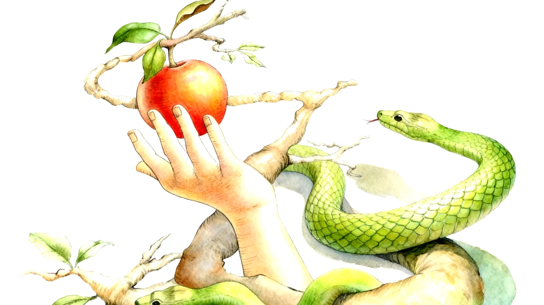 Forbidden Fruit2025-12-21T06:59:19.057Z"