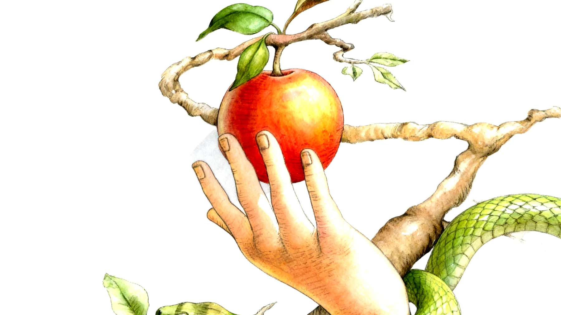 Forbidden Fruit2025-12-23T06:37:24.170Z"