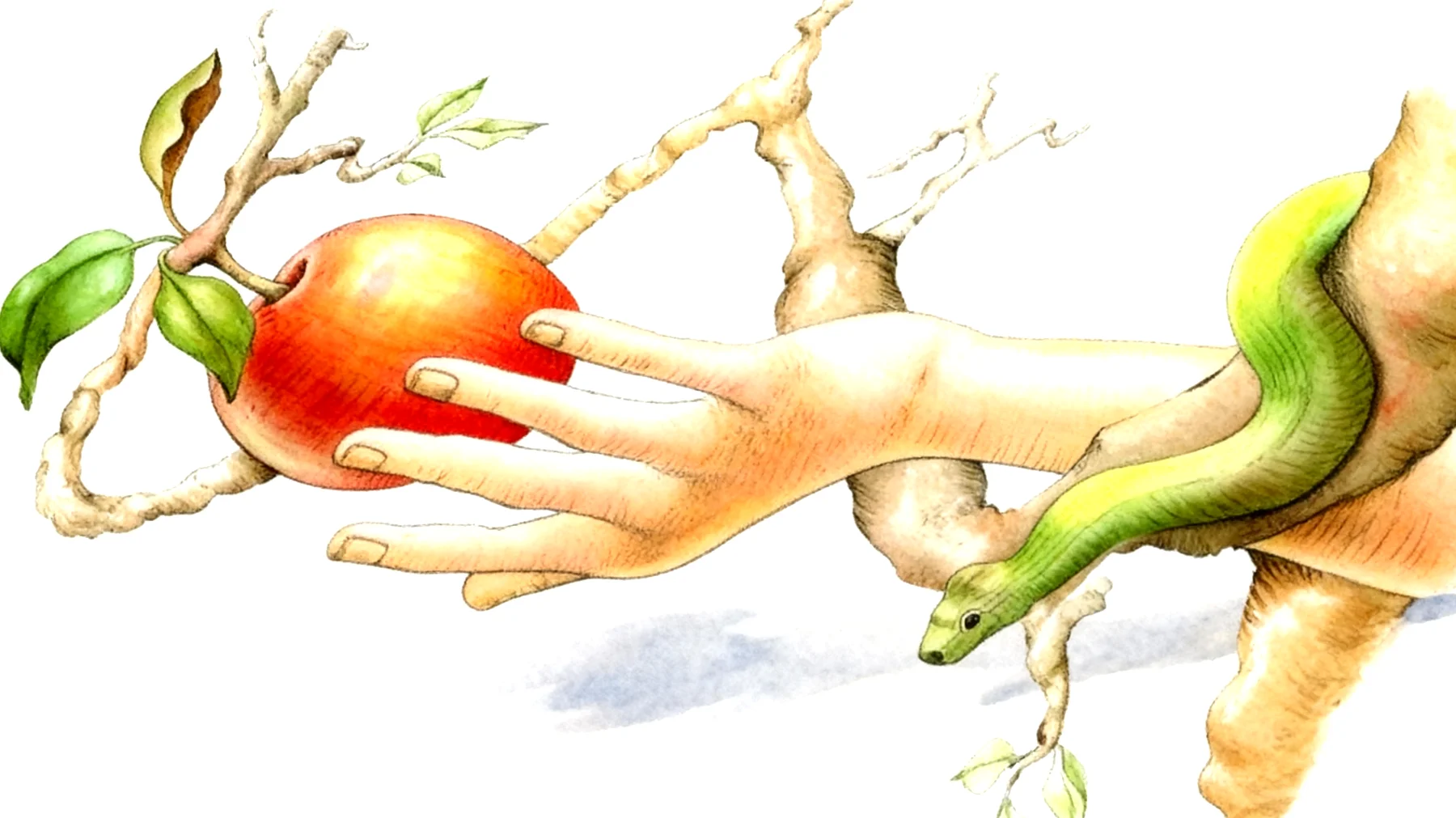 Forbidden Fruit2025-12-26T06:48:14.216Z"