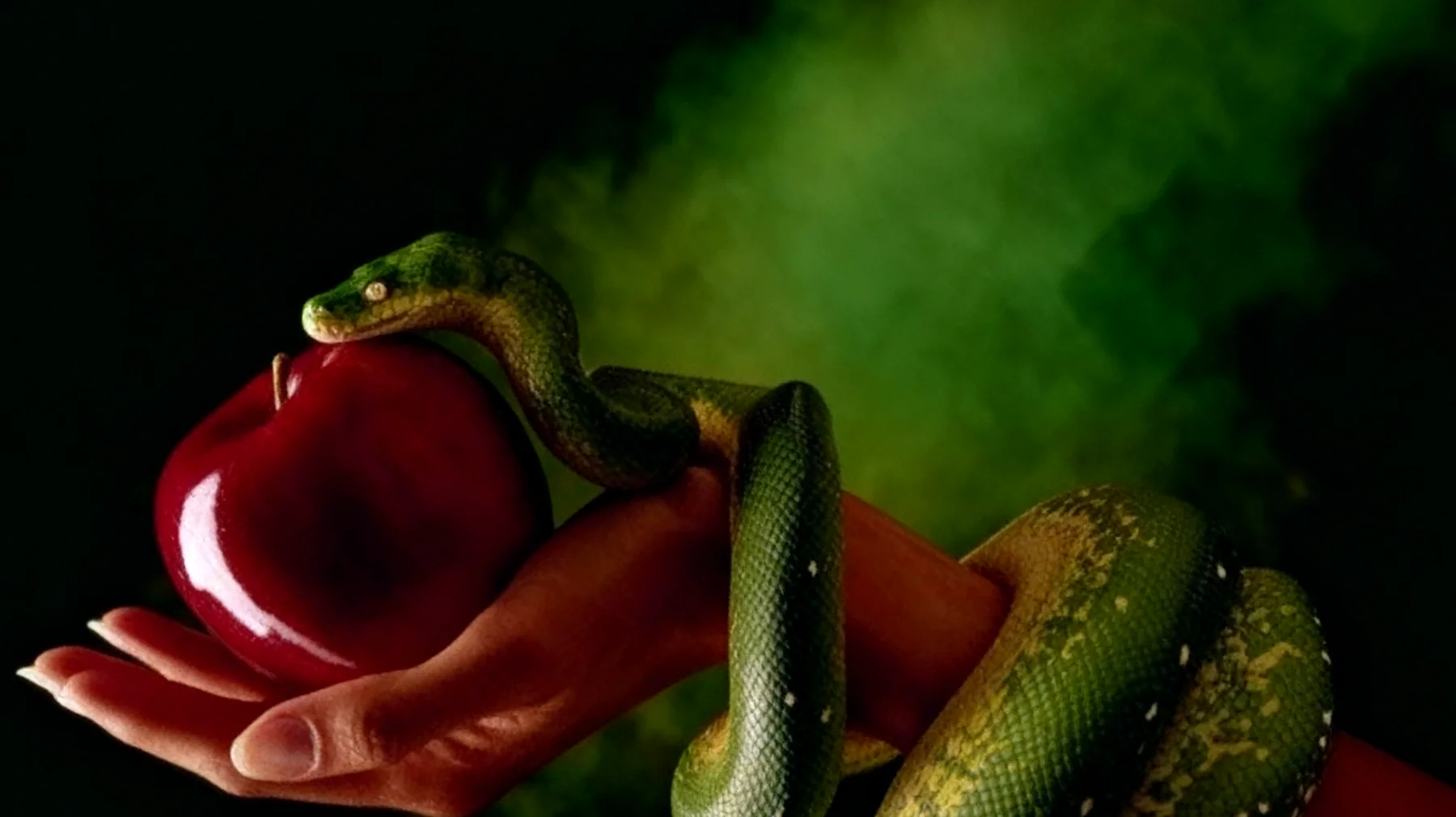 Forbidden Fruit2025-12-27T06:38:49.177Z"