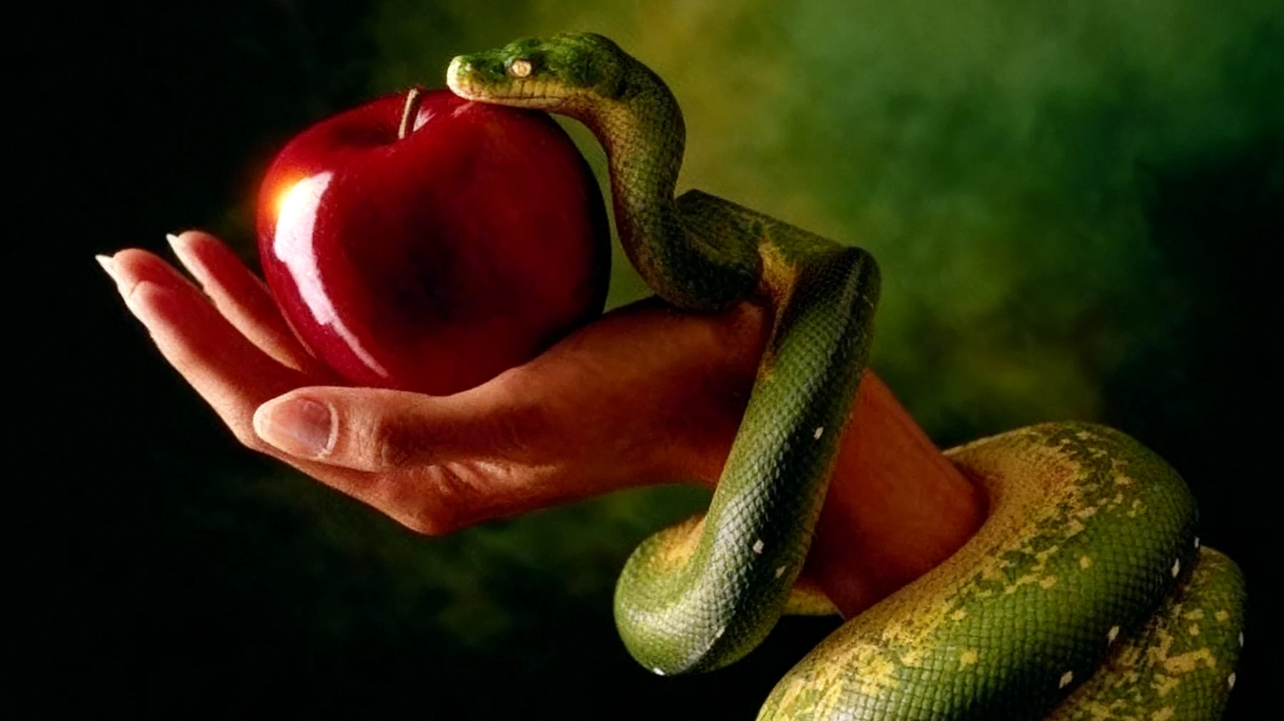 Forbidden Fruit2025-12-30T06:37:22.180Z"