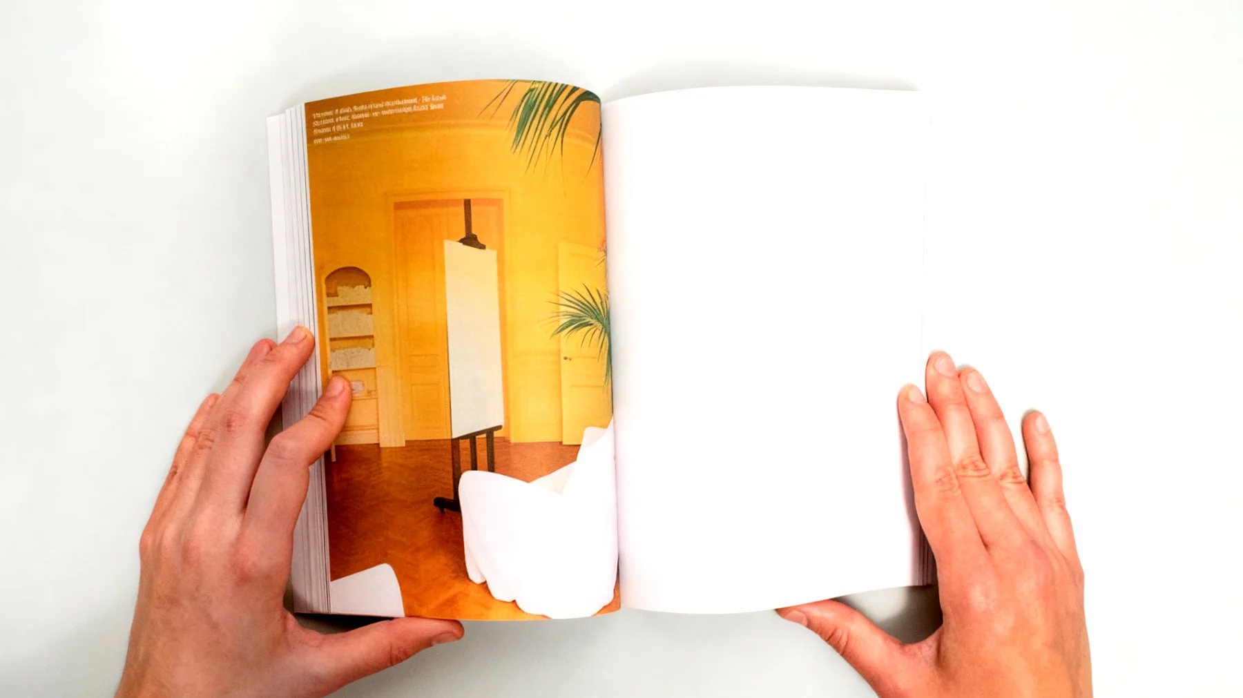 Un posto al sole 2025-12-15T06:32:35.767Z"