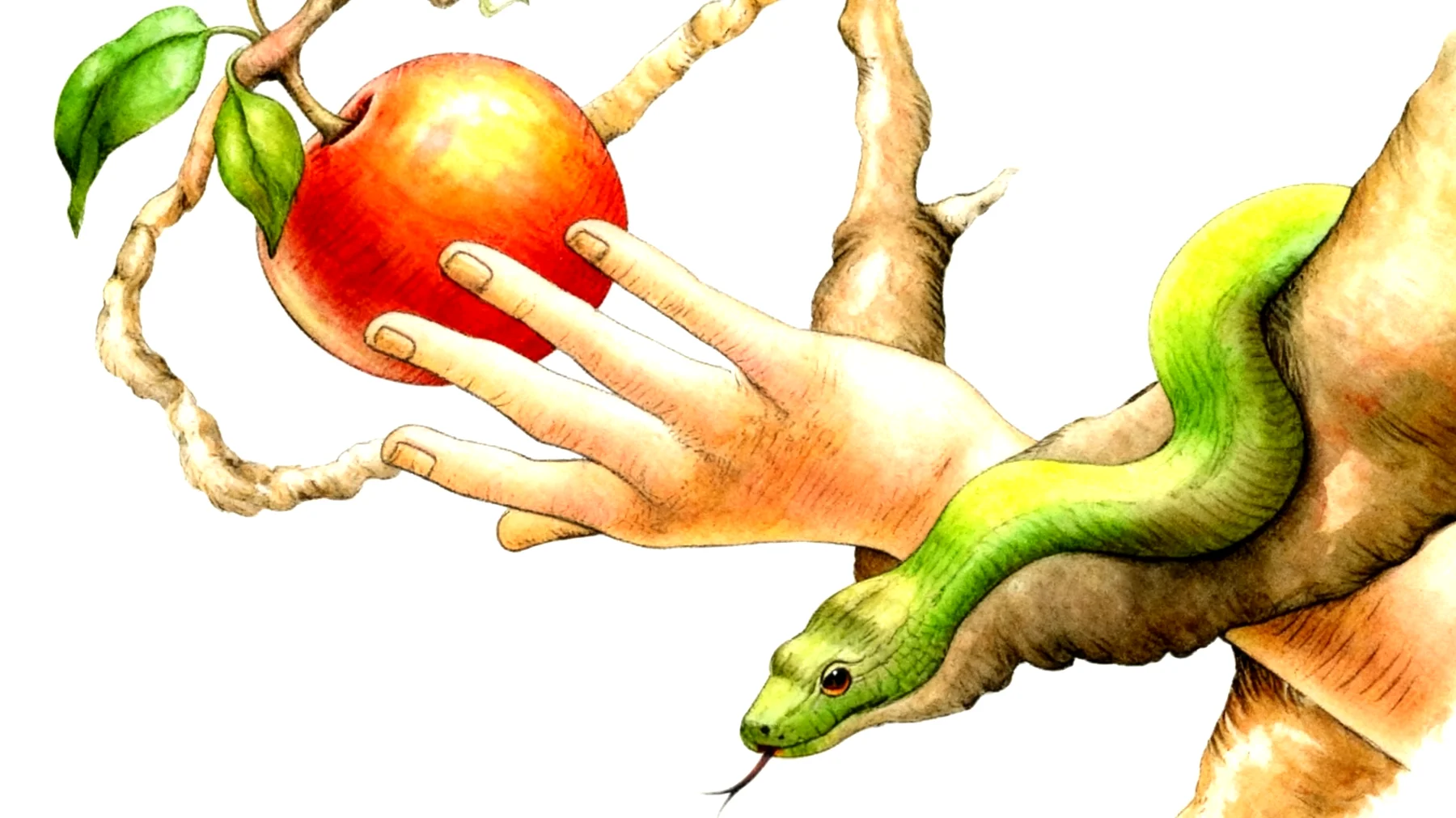 Forbidden Fruit2026-01-01T06:42:43.793Z"