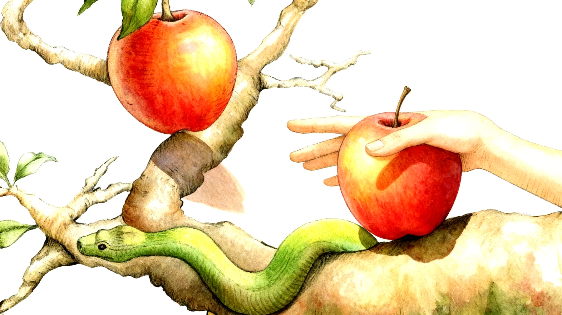 Forbidden Fruit2026-01-13T06:52:03.186Z"