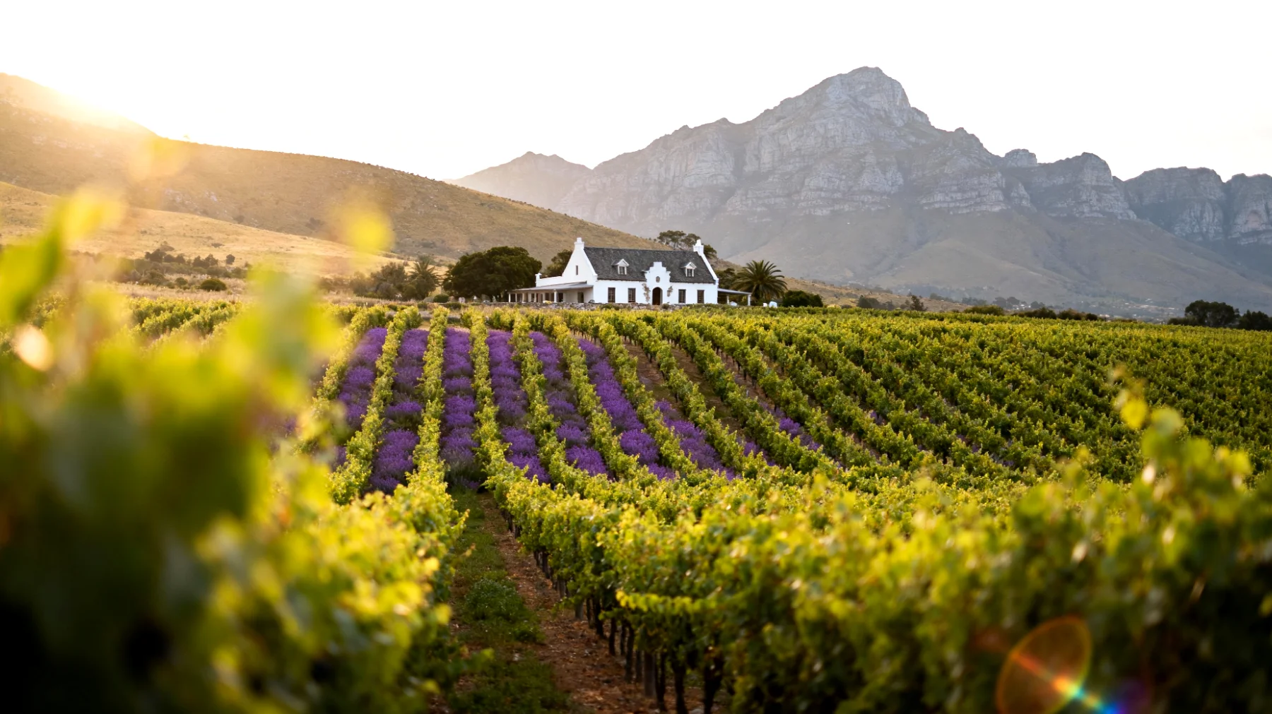 Franschhoek"