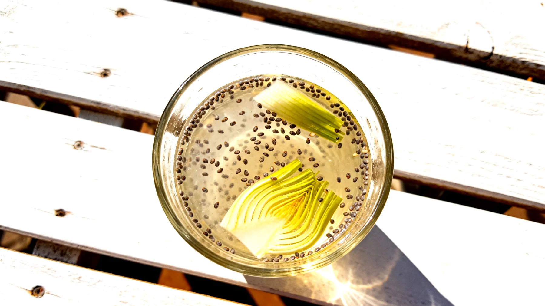 Kefir d'acqua con semi di chia e finocchio"